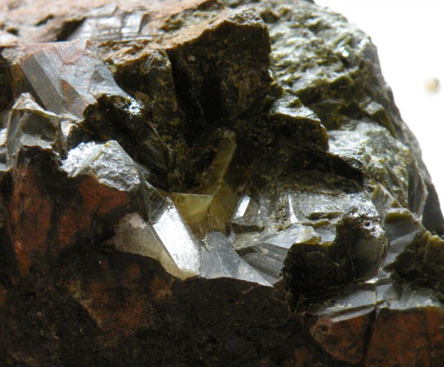 Malone Marble Quarry, Help id » The Kawartha Rock & Fossil Club